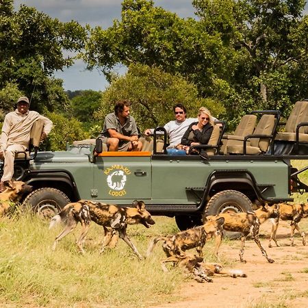 Kambaku Safari Lodge ティムババティ野生保護区 エクステリア 写真