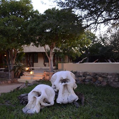 Kambaku Safari Lodge ティムババティ野生保護区 エクステリア 写真