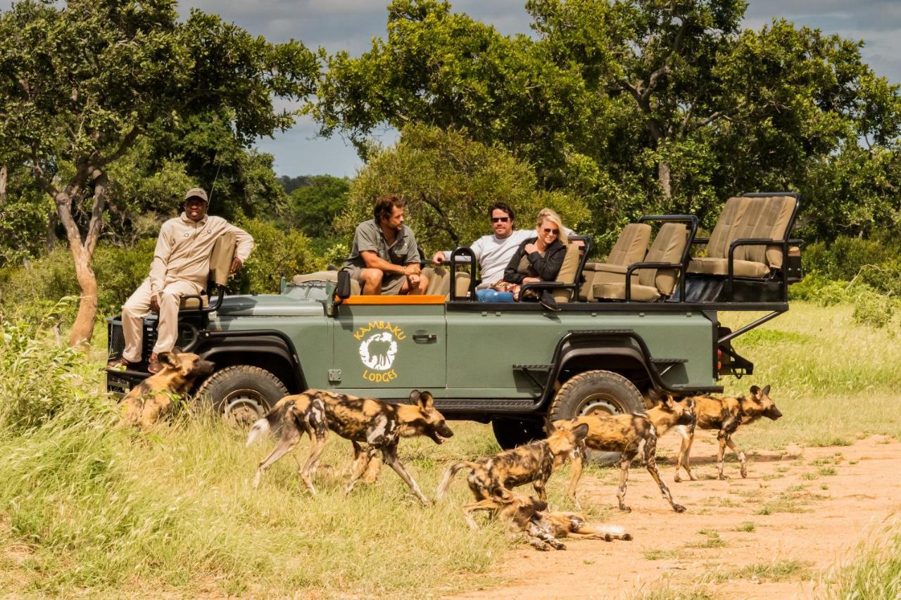Kambaku Safari Lodge ティムババティ野生保護区 エクステリア 写真