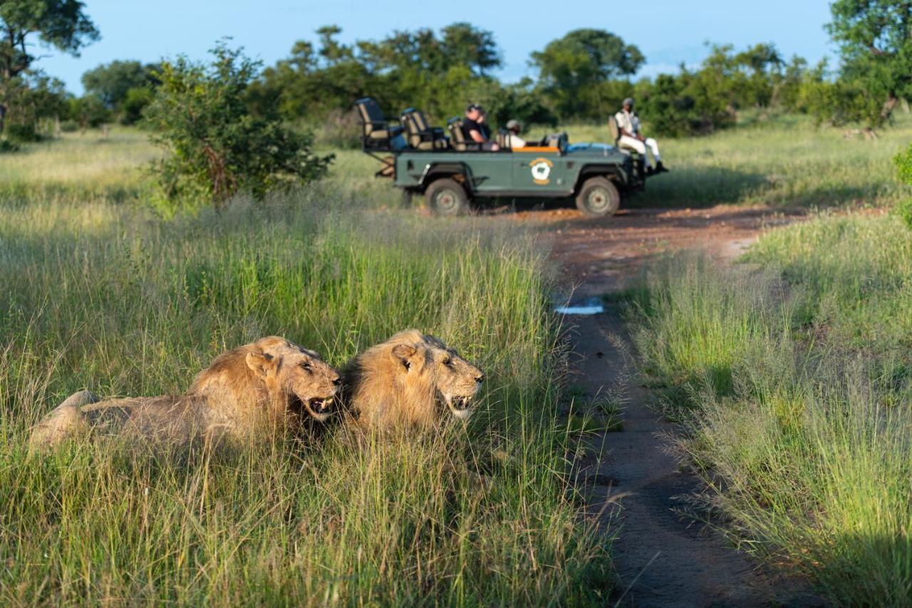 Kambaku Safari Lodge ティムババティ野生保護区 エクステリア 写真