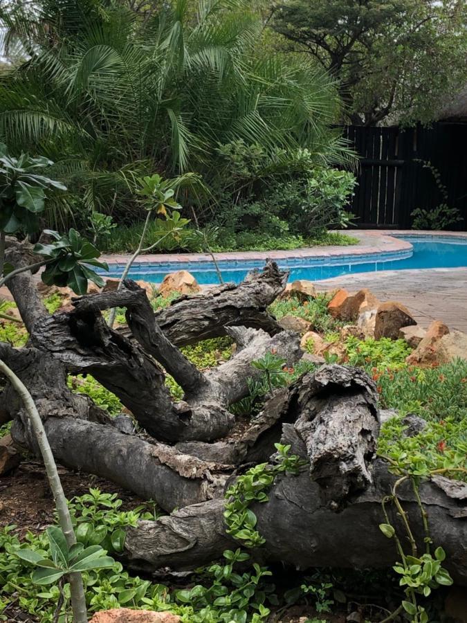 Kambaku Safari Lodge ティムババティ野生保護区 エクステリア 写真