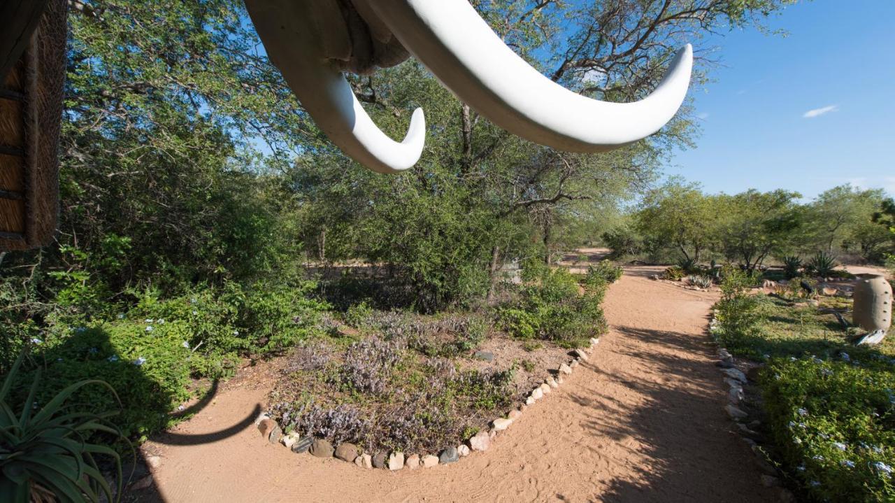 Kambaku Safari Lodge ティムババティ野生保護区 エクステリア 写真
