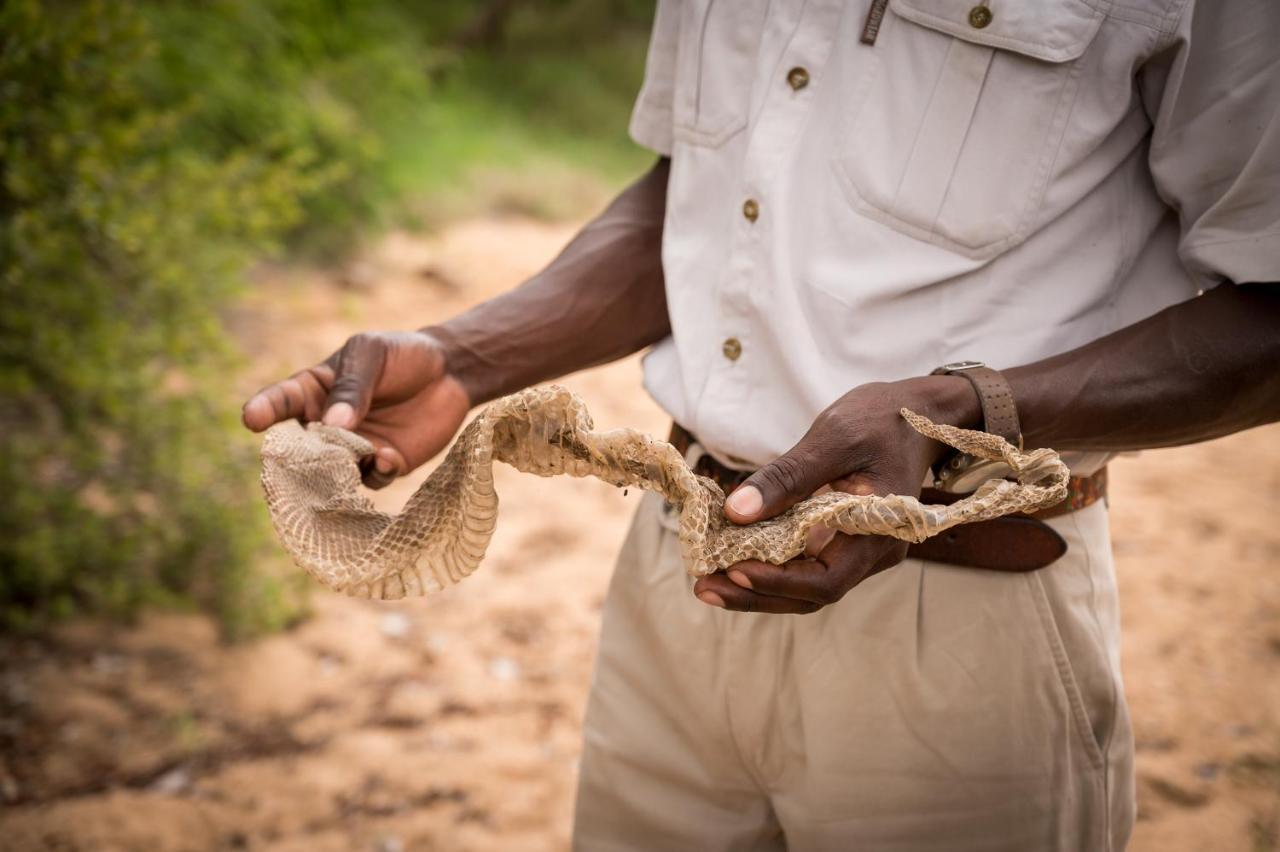 Kambaku Safari Lodge ティムババティ野生保護区 エクステリア 写真