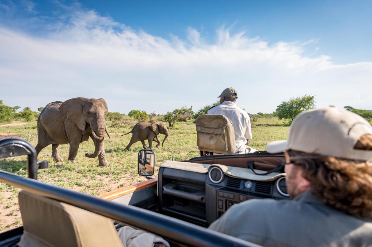 Kambaku Safari Lodge ティムババティ野生保護区 エクステリア 写真