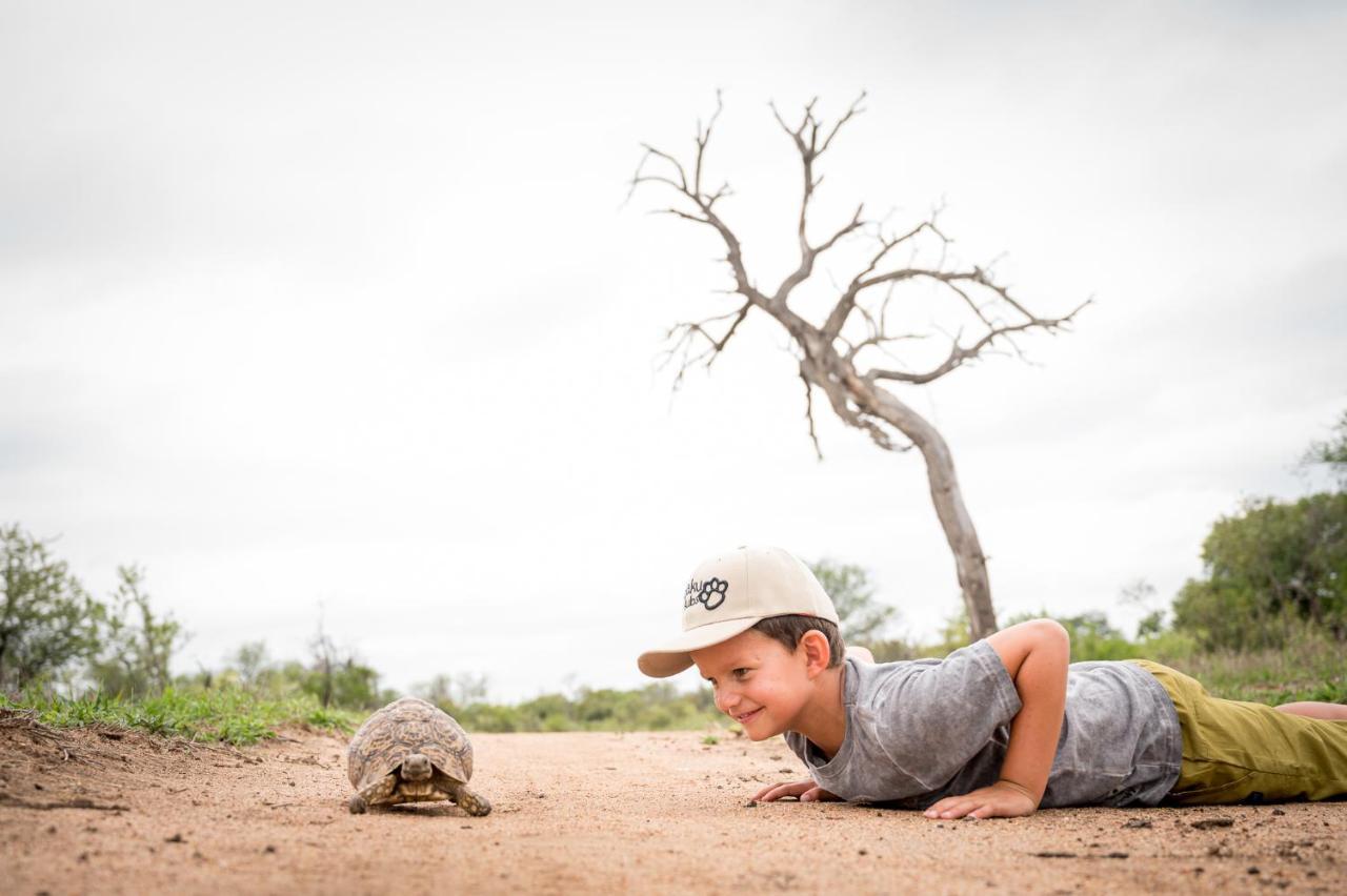 Kambaku Safari Lodge ティムババティ野生保護区 エクステリア 写真
