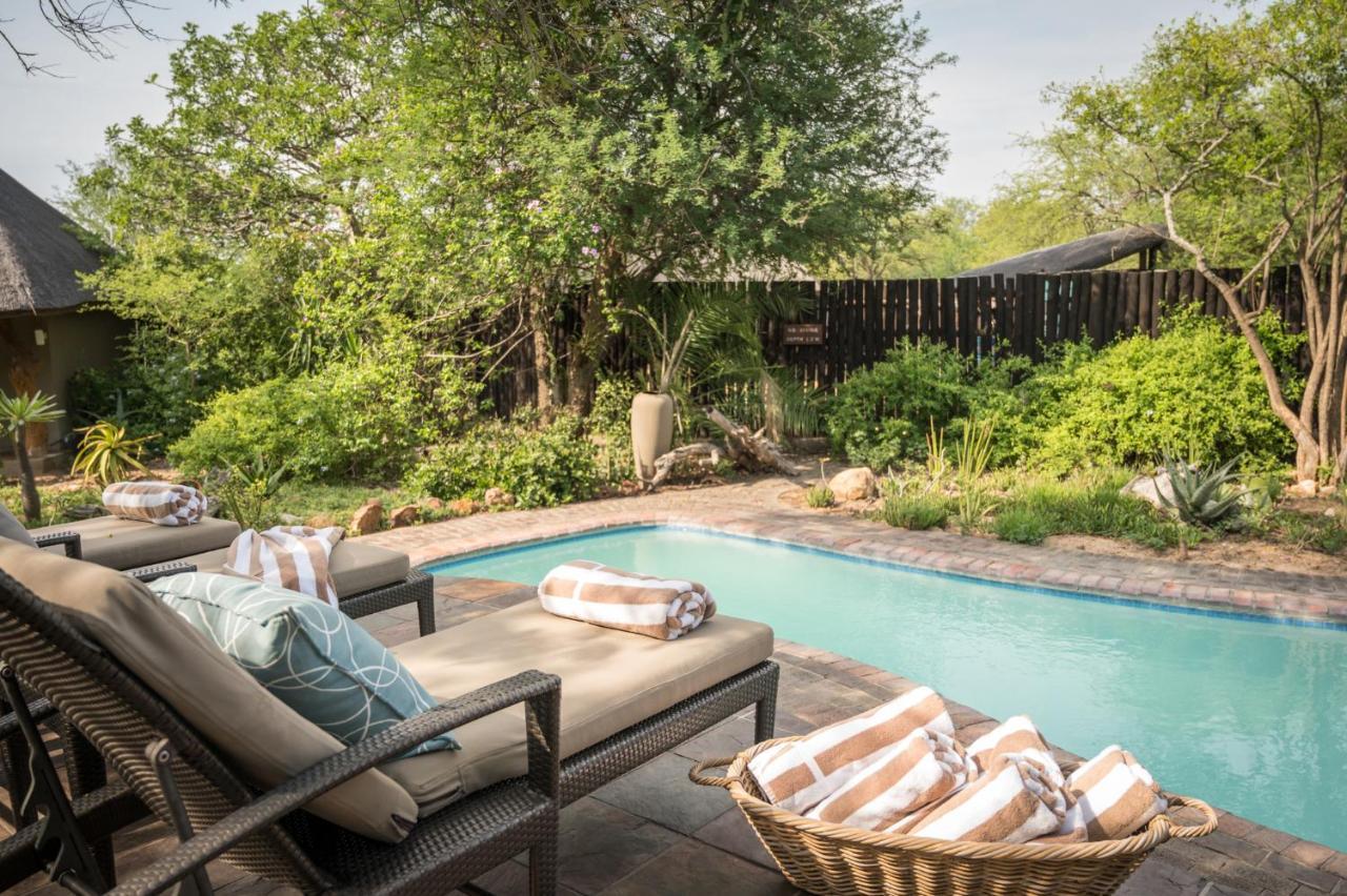 Kambaku Safari Lodge ティムババティ野生保護区 エクステリア 写真