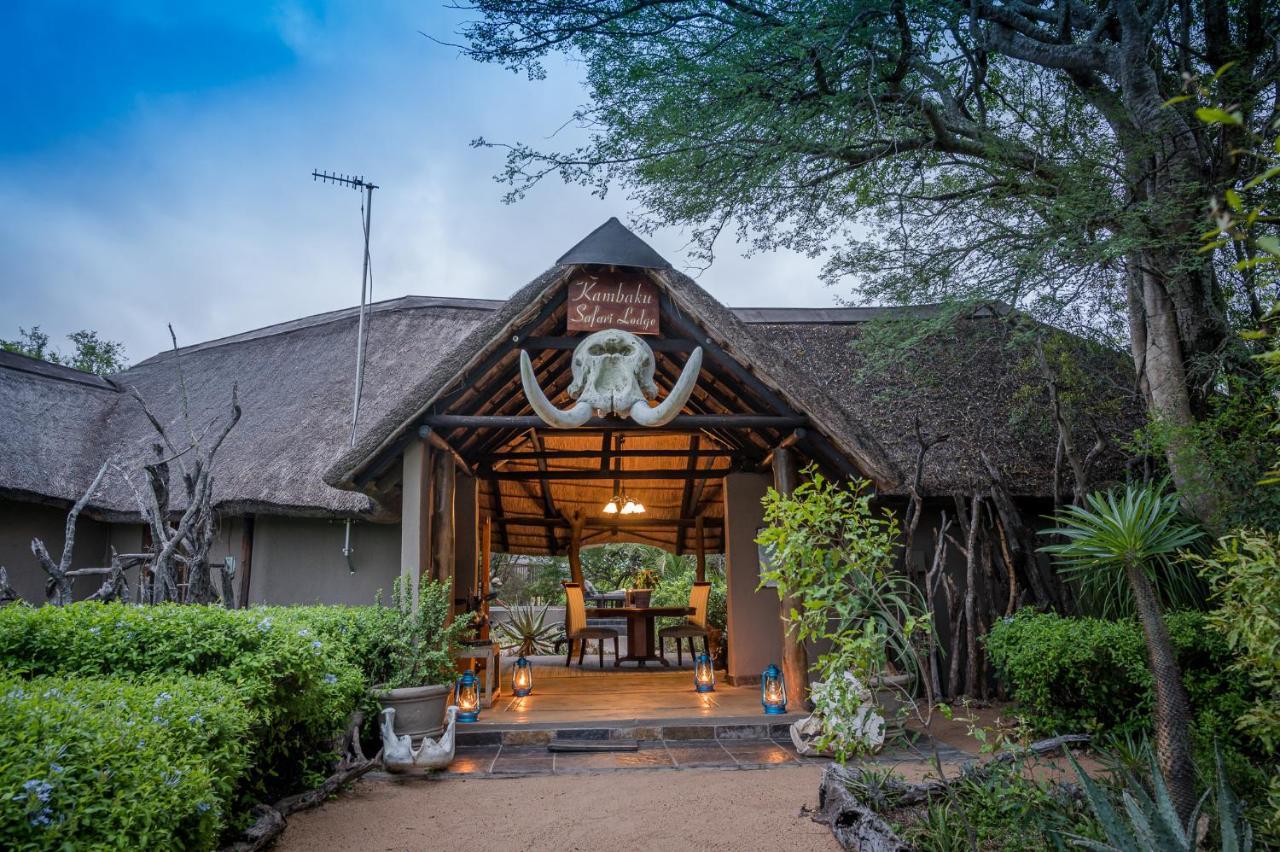 Kambaku Safari Lodge ティムババティ野生保護区 エクステリア 写真