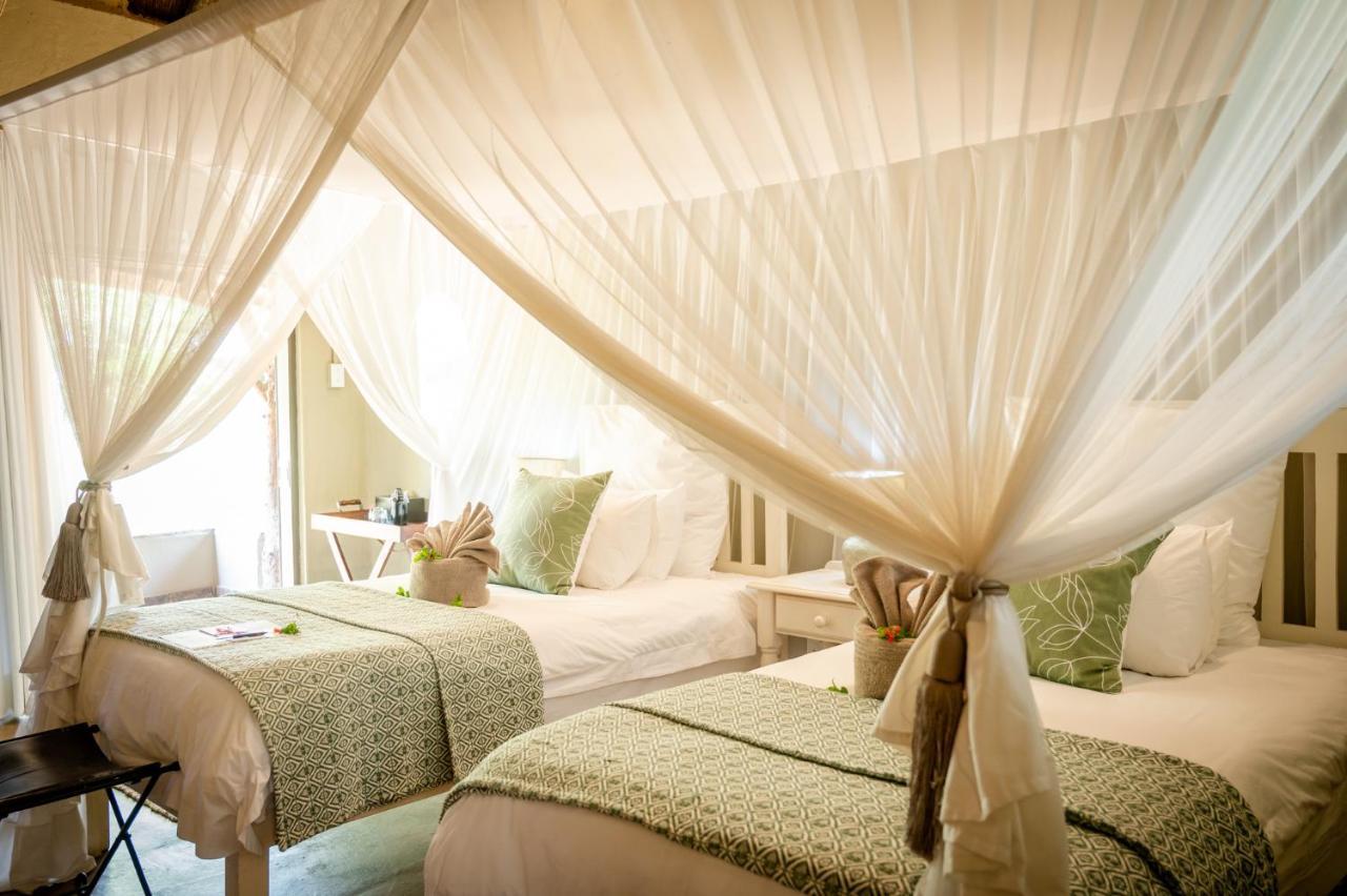 Kambaku Safari Lodge ティムババティ野生保護区 エクステリア 写真