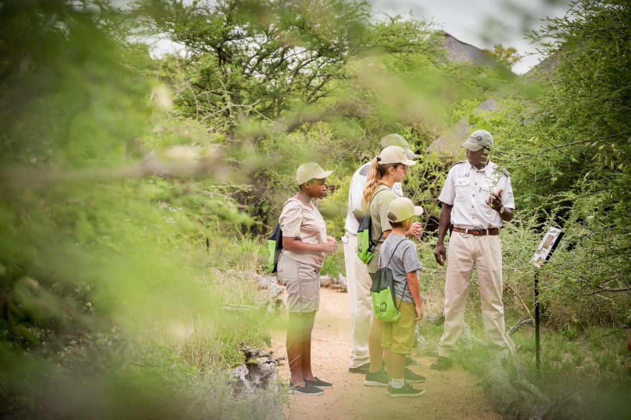 Kambaku Safari Lodge ティムババティ野生保護区 エクステリア 写真