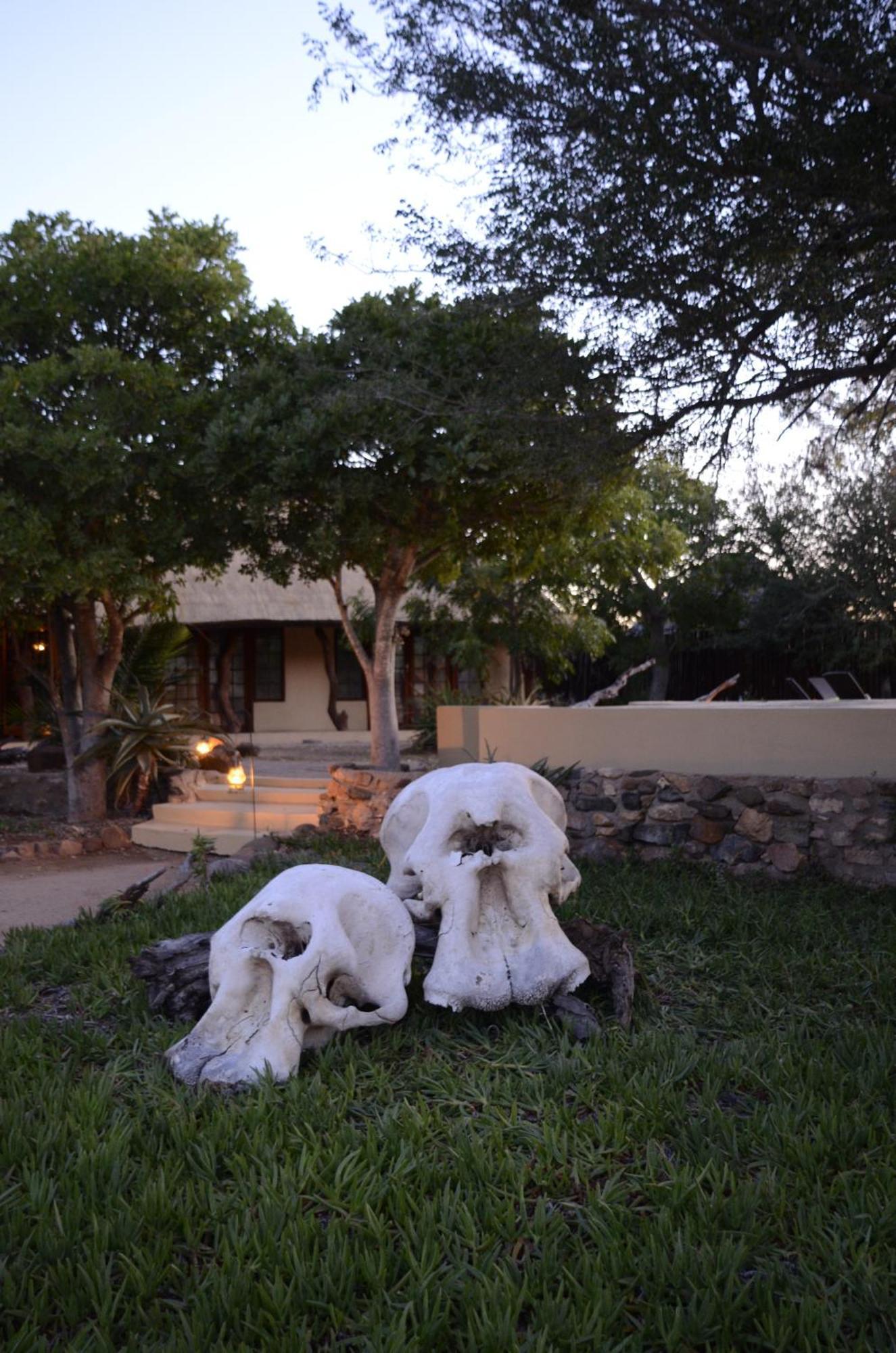 Kambaku Safari Lodge ティムババティ野生保護区 エクステリア 写真
