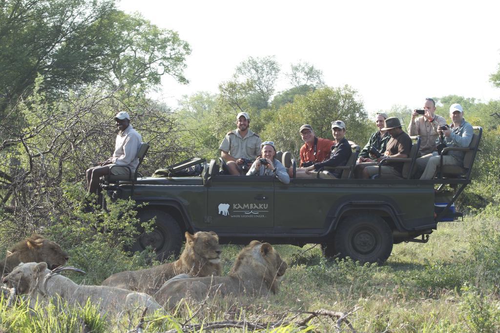 Kambaku Safari Lodge ティムババティ野生保護区 エクステリア 写真